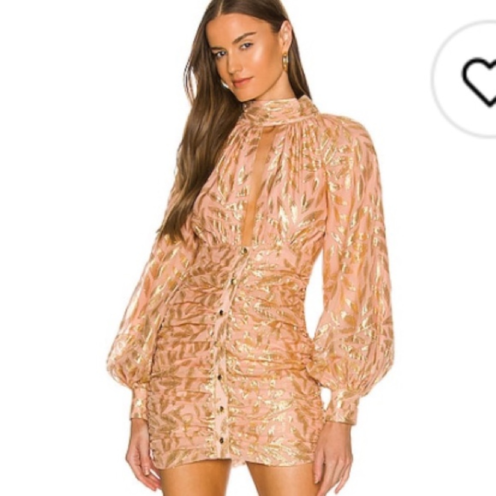 Michael Costello Pink and Gold Long Sleeve Dress